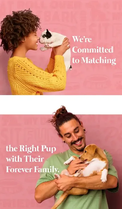 We're Committed to Matching the Right Pup with Their Forever Family.