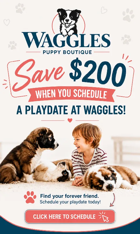 Schedule a Playdate, Save $200